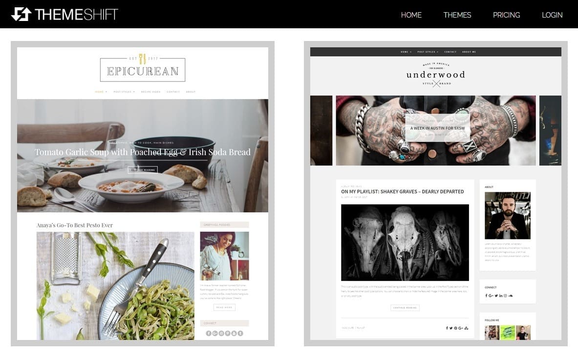 5 个顶级 WordPress 主题市场-image3