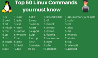 Linux实用命令大全：最好用的Linux命令手册
